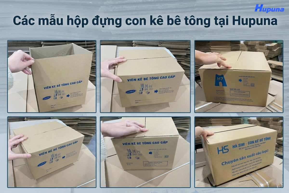 Các mẫu hộp đựng con kê bê tông tại Hupuna