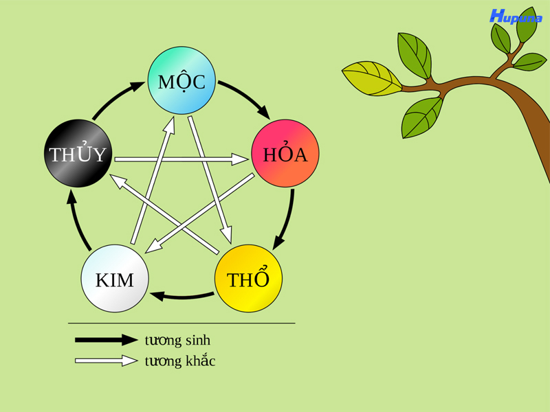 Đặc điểm về tính cách của người mệnh Mộc
