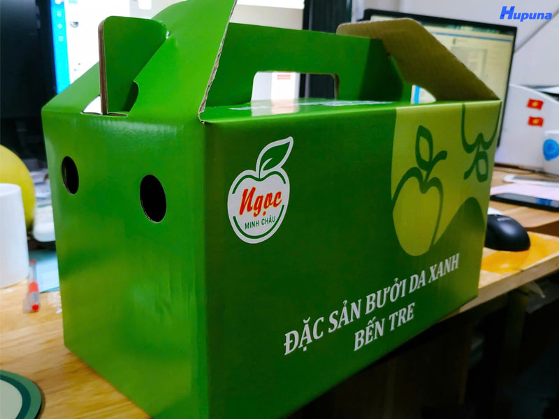 Hộp carton đựng bưởi da xanh của Ngọc Minh Châu