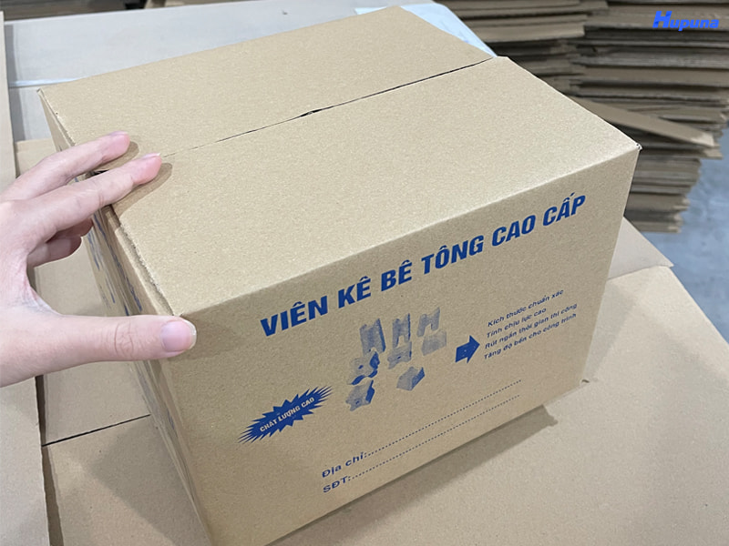 Hộp đựng con kê bê tông V3