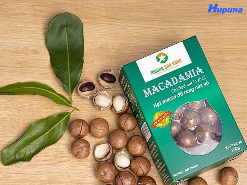 Hộp giấy đựng hạt macca