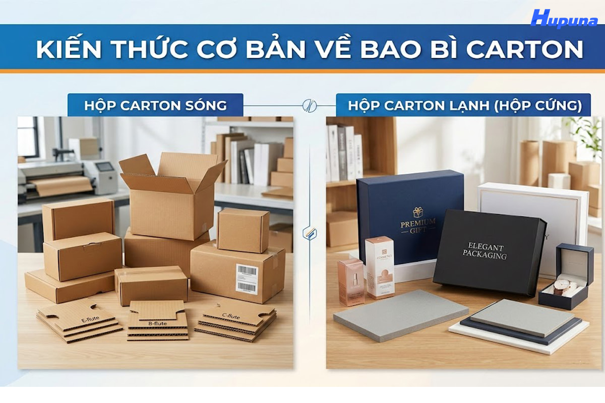 Kiến thức cơ bản về bao bì carton