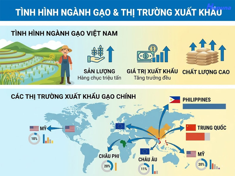 Lưu ý khi xuất khẩu gạo về tiêu chuẩn về chất lượng