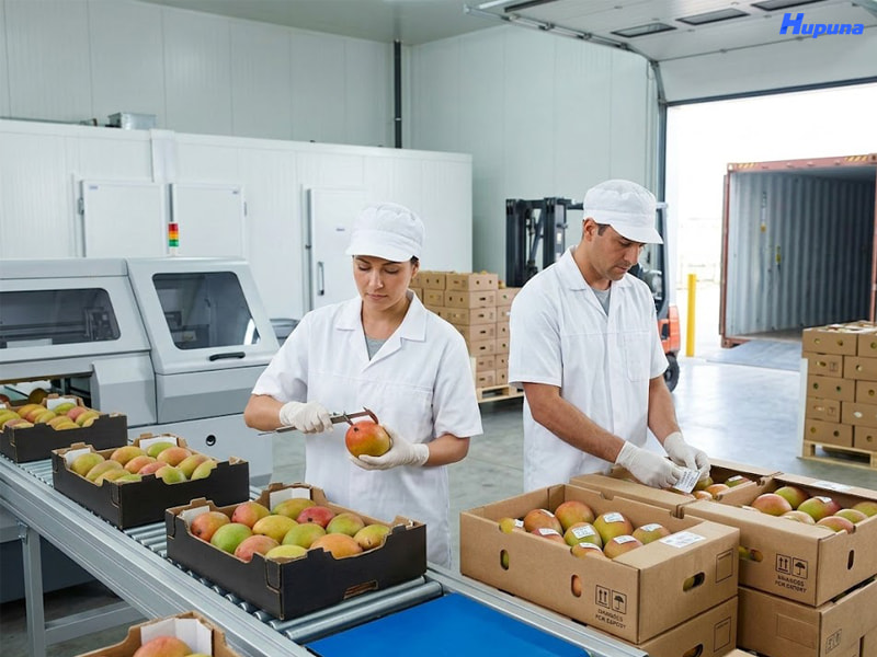 Nắm vững tiêu chuẩn chất lượng và rào cản kỹ thuật