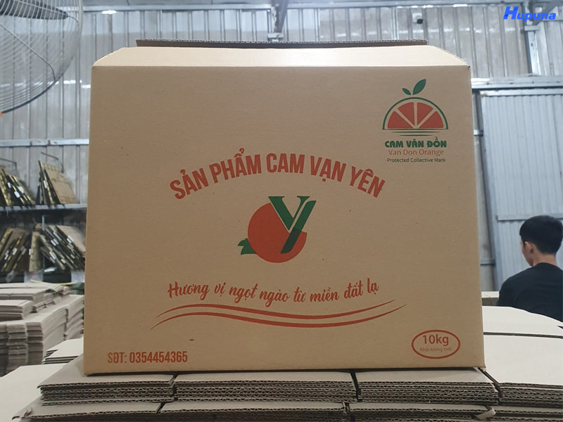 Thùng carton đựng cam Vạn Yên