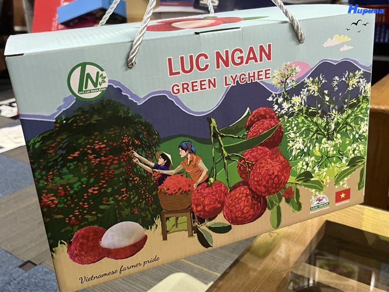 Thùng carton đựng vài Lục Ngạn Green Lychee