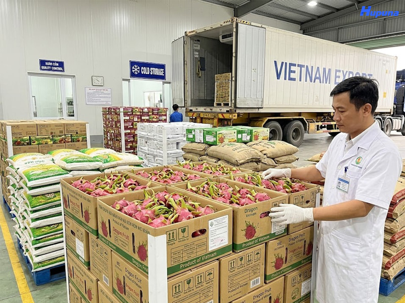 Tiêu chuẩn bắt buộc đối với bao bì trong xuất khẩu nông sản