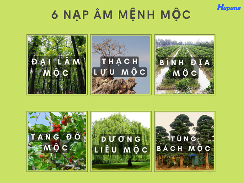 Ý nghĩa các nạp âm của mệnh Mộc