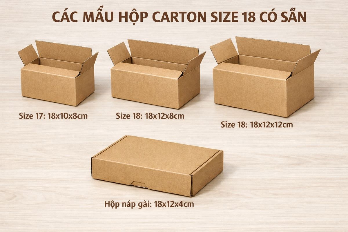 Các mẫu hộp carton size 18 có sẵn