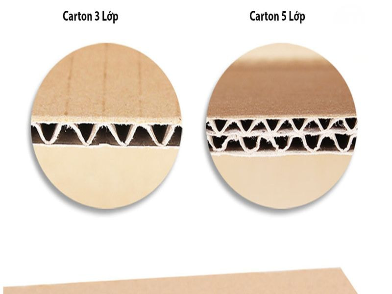 Chất liệu nào phù hợp cho size 16
