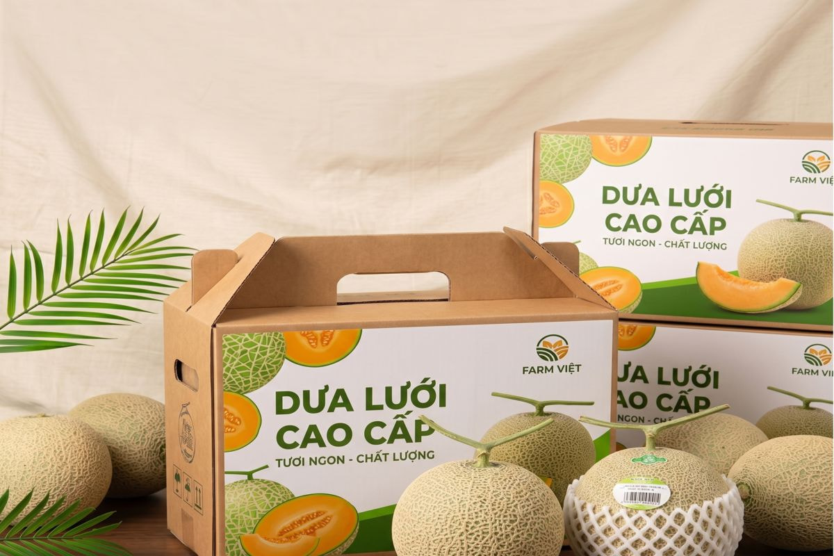 Dịch vụ in thùng carton đựng dưa lưới
