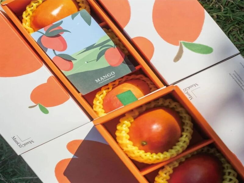 Hộp carton cao cấp có vách ngăn đựng xoài làm quà biếu tặng