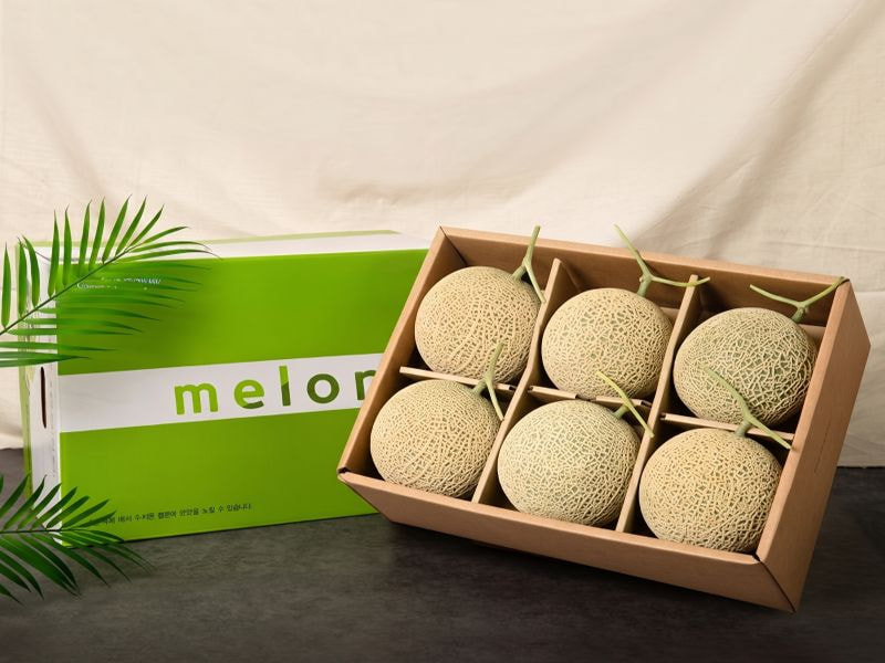 Hộp carton chia ngăn đựng dưa lưới