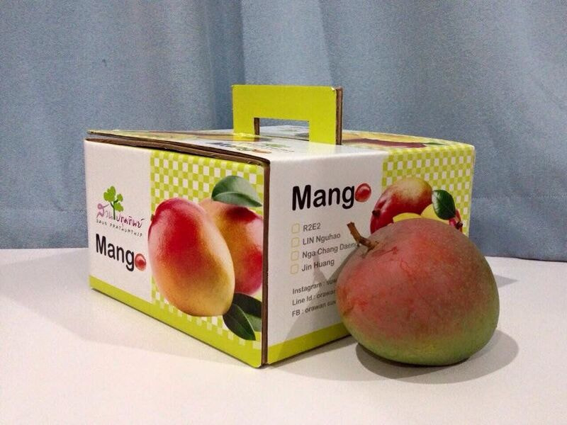 Hộp carton đựng xoài có quai xách