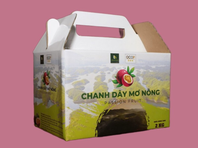 Hộp carton quai xách đựng chanh leo