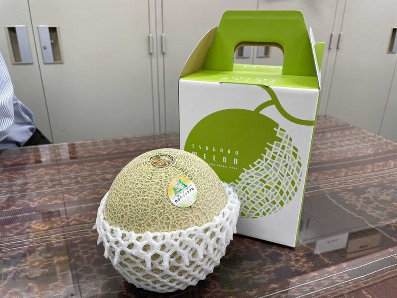 Hộp in offset quai xách đựng dưa lưới