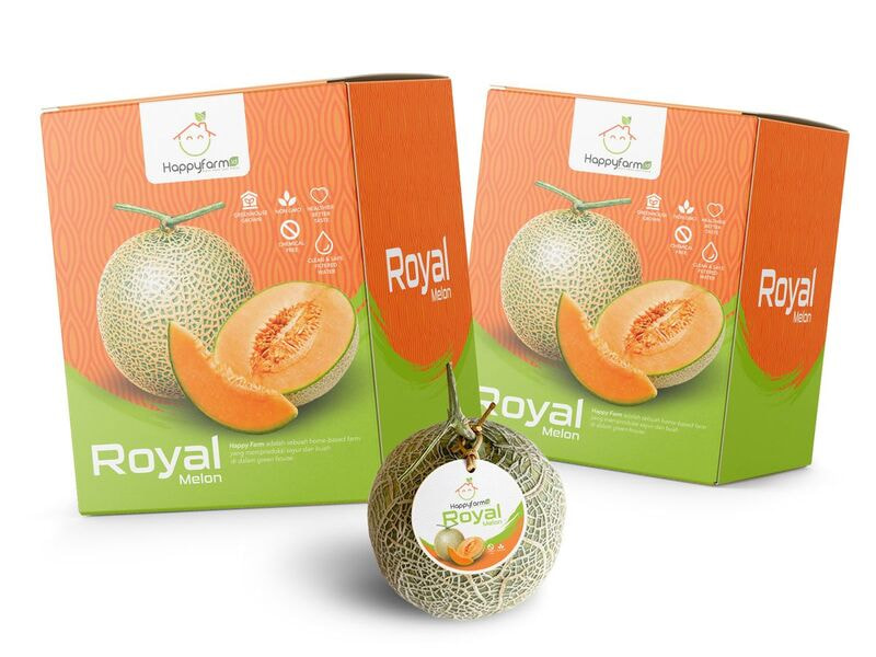 Hộp nắp gài đựng dưa lưới