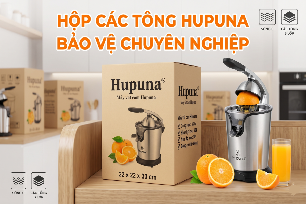 Mẫu hộp carton đựng máy vắt cam tại Hupuna