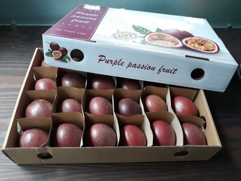 Thùng carton chia ngăn đựng chanh leo