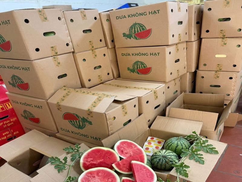 Thùng carton nắp đối bế lỗ đựng dưa hấu lưu kho lạnh