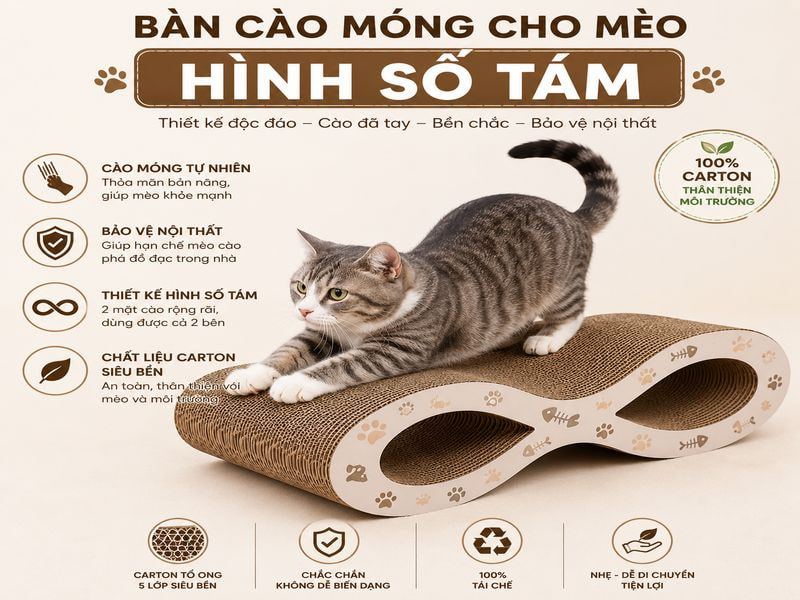 Bàn cào móng carton cho mèo hình số tám