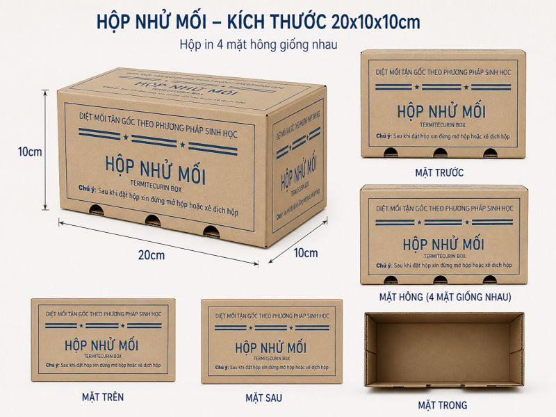 Kích thước hộp đựng thuốc nhử mối