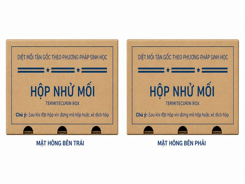 Mặt hông hộp nhử mối