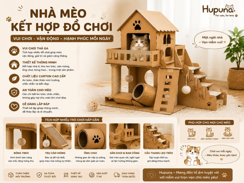 Nhà mèo kết hợp đồ chơi