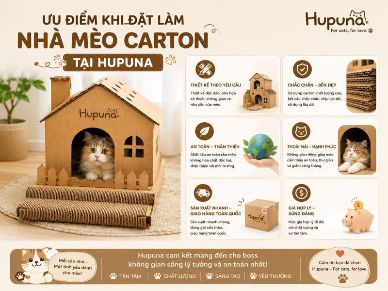 Ưu điểm khi đặt làm nhà mèo carton tại Hupuna