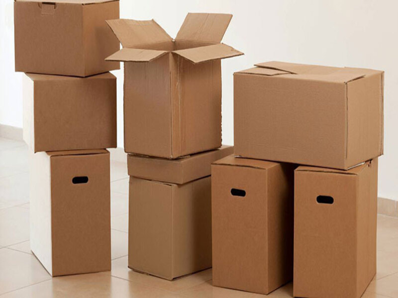 Cách xác định mã HS Code thùng carton chính xác