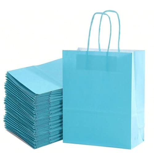 Túi giấy màu xanh ảnh 1