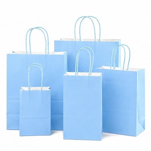 Túi giấy màu xanh ảnh 2