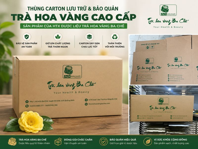 Thùng carton lưu trữ và bảo quản trà hoa vàng cao cấp của HTX Dược liệu Ba Chẽ