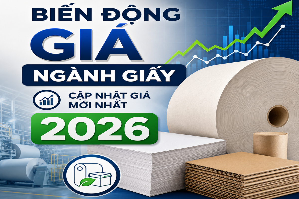 Biến động giá ngành giấy Cập nhật giá mới nhất 2026