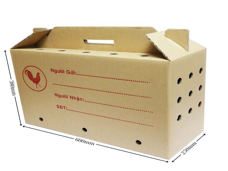 Thùng carton đựng gà đá