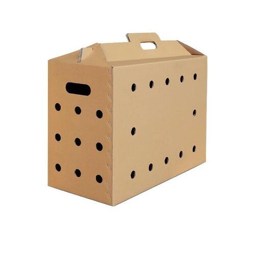 Thùng carton đựng gà giống