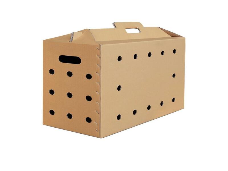Thùng carton đựng gà giống