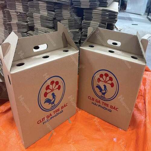 Thùng carton đựng gà đá, gà giống | Sản xuất theo yêu cầu